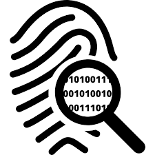 DIGITAL FORENSIC & INVESTIGATION