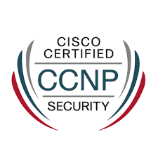 Cisco Certified Network Professional (CCNP)